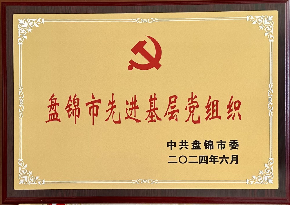 香港六合彩开奖
荣兴油脂科技有限公司党支部荣获“盘锦市先进基层党组织”荣誉称号